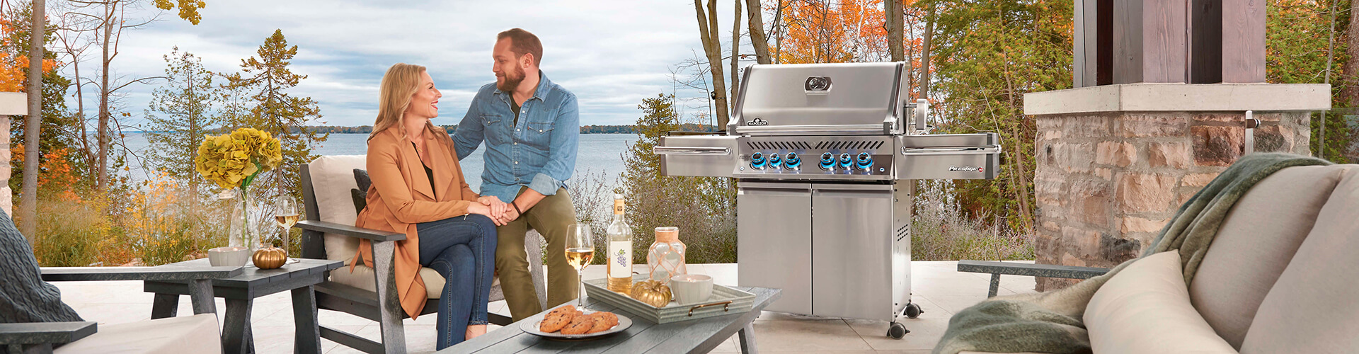 Грили Napoleon модель Napoleon FREESTYLE